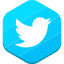 Social Network - Hexagonal icon 64x64